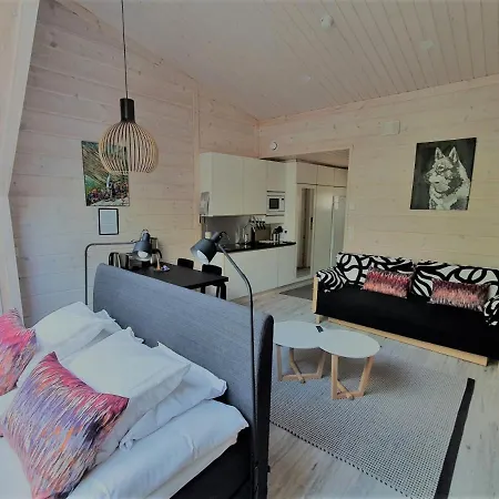 Pyhae Igloos Holiday park 4*
