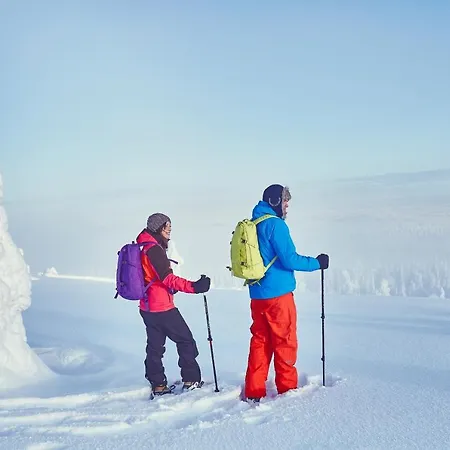 Pyhae Igloos База отдыха 4*