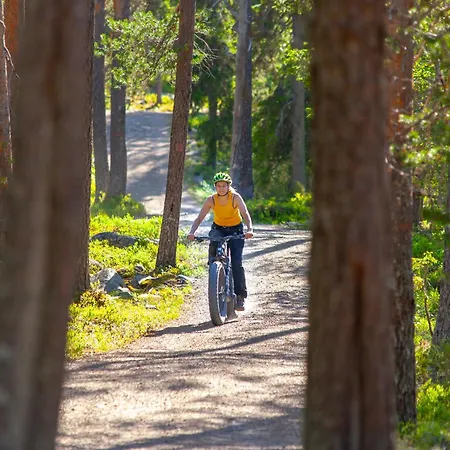 Pyhae Igloos База отдыха 4*