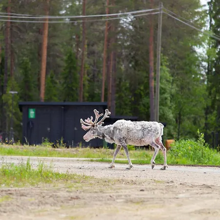 Pyhae Igloos Πάρκο διακοπών