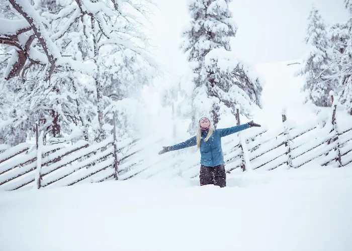 Pyhae Igloos Vakantiepark 4*