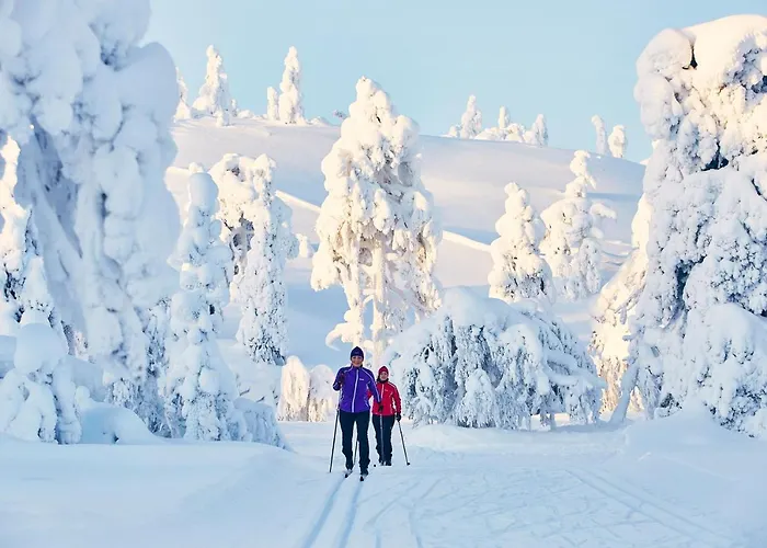 Pyhae Igloos Pyhätunturi