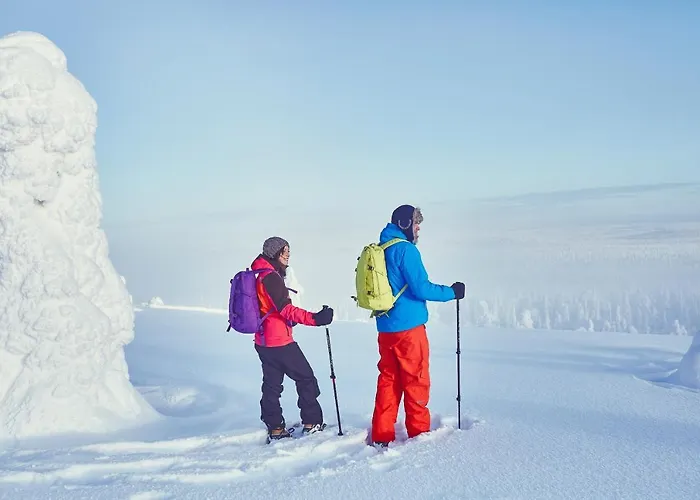 Pyhae Igloos Vakantiepark 4*