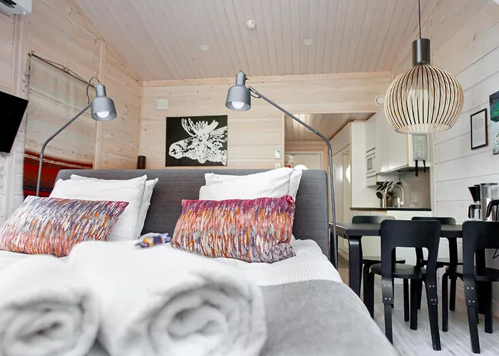 Vakantiepark Pyhae Igloos