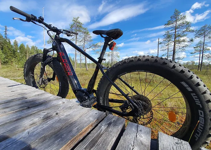 Vakantiepark Pyhae Igloos 4*