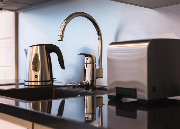 Vakantiepark Pyhae Igloos 4*