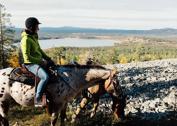 Pyhae Igloos 4* ピュハトゥントゥリ