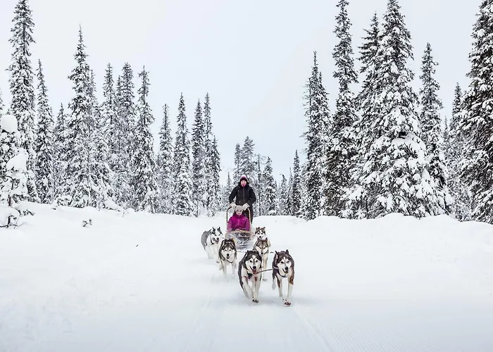 Vakantiepark Pyhae Igloos